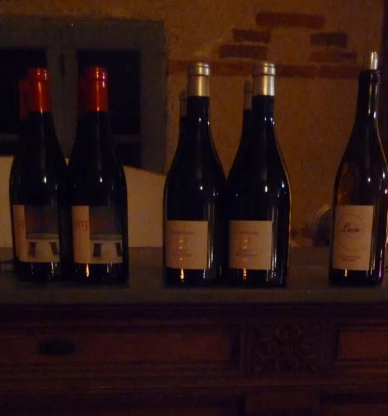 Repas Accord mets et vins au château St-Louis Fronton