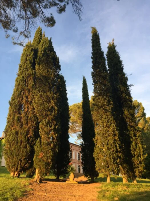 Domaine de Gailhaguet