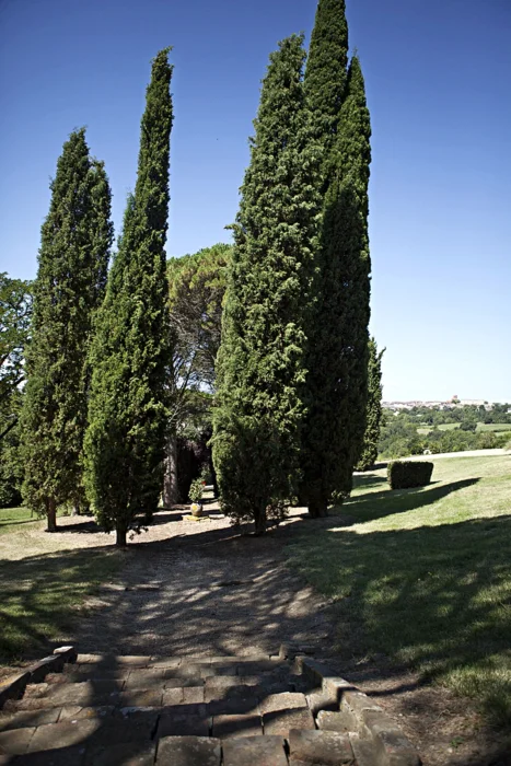 Domaine de Gailhaguet